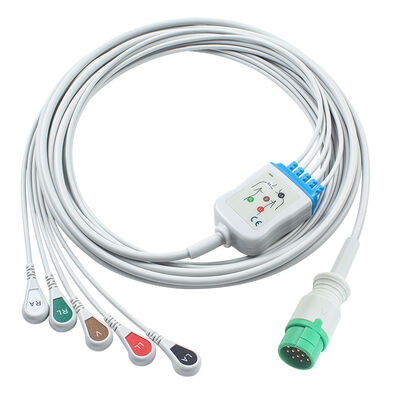 Emtel Fx2000 EKG-Kabel und Schleuderdraht 12-Pin-Konnektor EKG-Kabel 3 5 Schleuderaufnahme IEC AHA