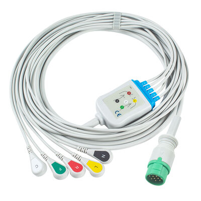 Emtel Fx2000 EKG-Kabel und Schleuderdraht 12-Pin-Konnektor EKG-Kabel 3 5 Schleuderaufnahme IEC AHA